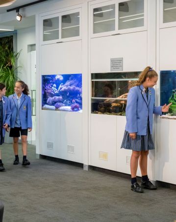 Students enjoy fish tanks in the science building