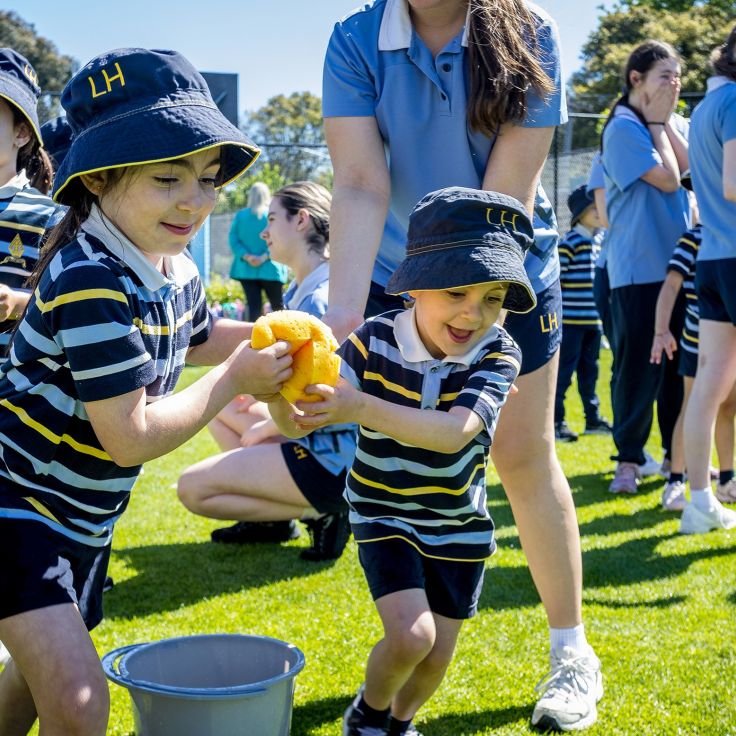 Celebration Day 0204