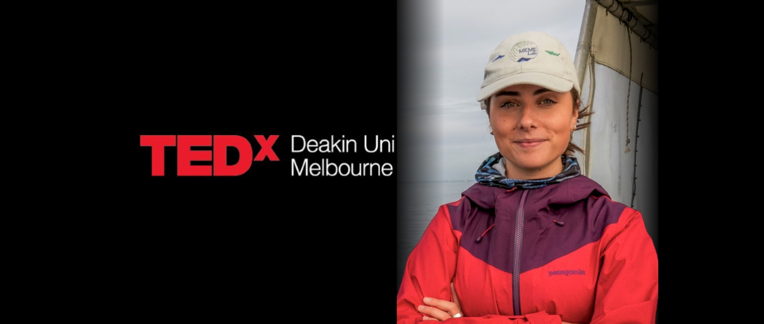 Website News and Events Banner 27