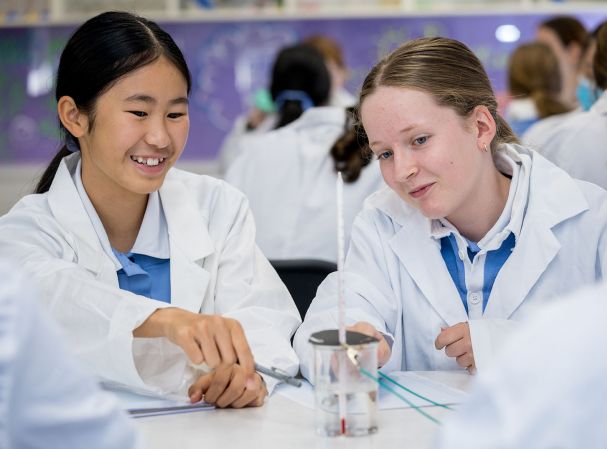 Year 8 science 10